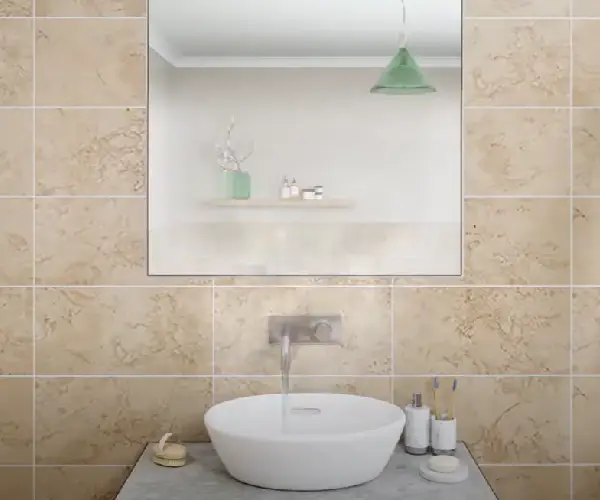 Mirror Demisters